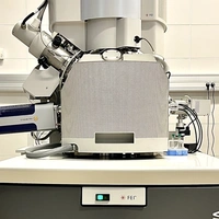 Skaningowy mikroskop elektronowy FEI Versa 3D